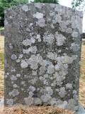 image of grave number 735259